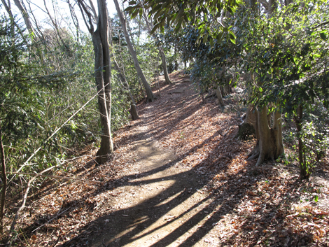 20170126hike (153)